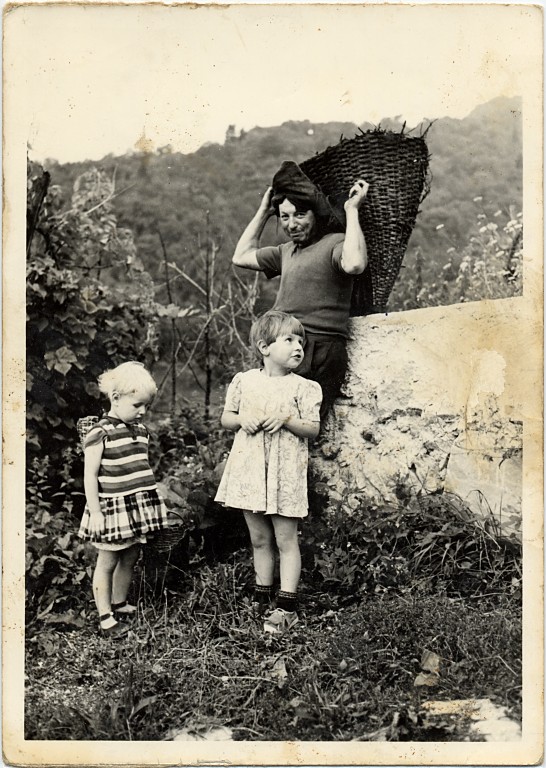 Fotografie