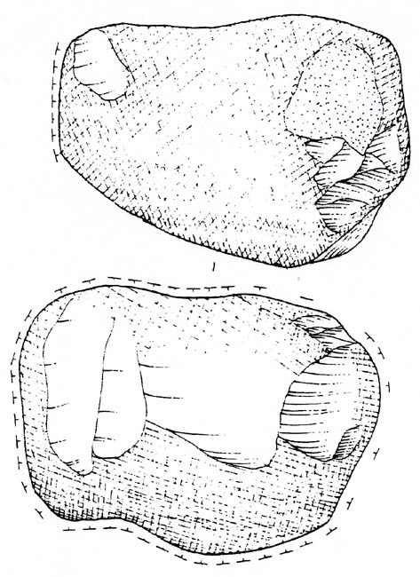 poliedro