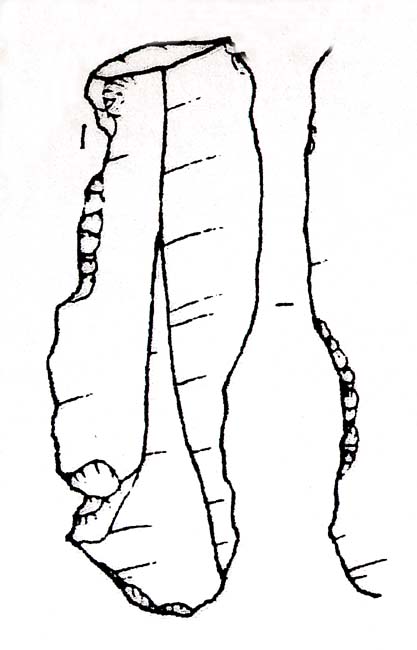 lama-raschiatoio