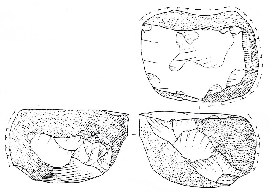 poliedro