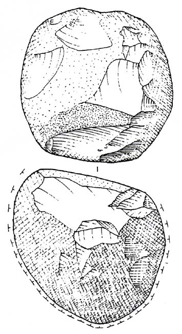 poliedro