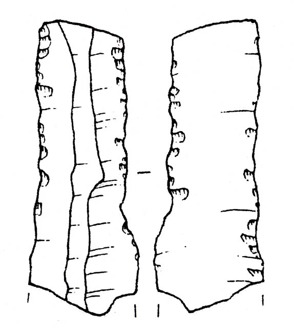 raschiatoio