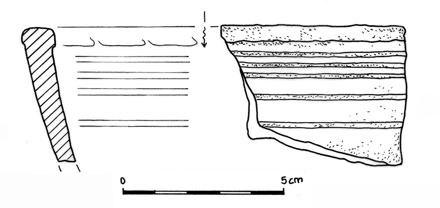 Il complesso fortificato della Motta di Savorgnano