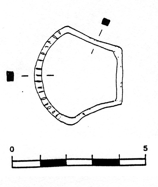 Il complesso fortificato della Motta di Savorgnano