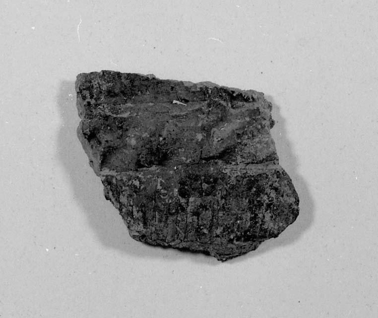 ciotola/ frammento