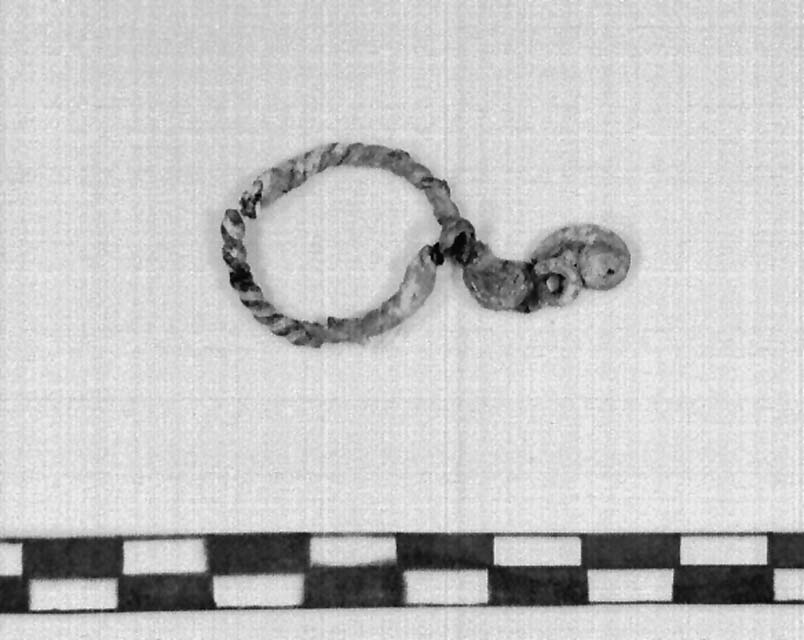 anello o orecchino/ a tortiglione