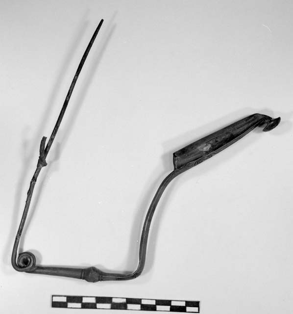 fibula