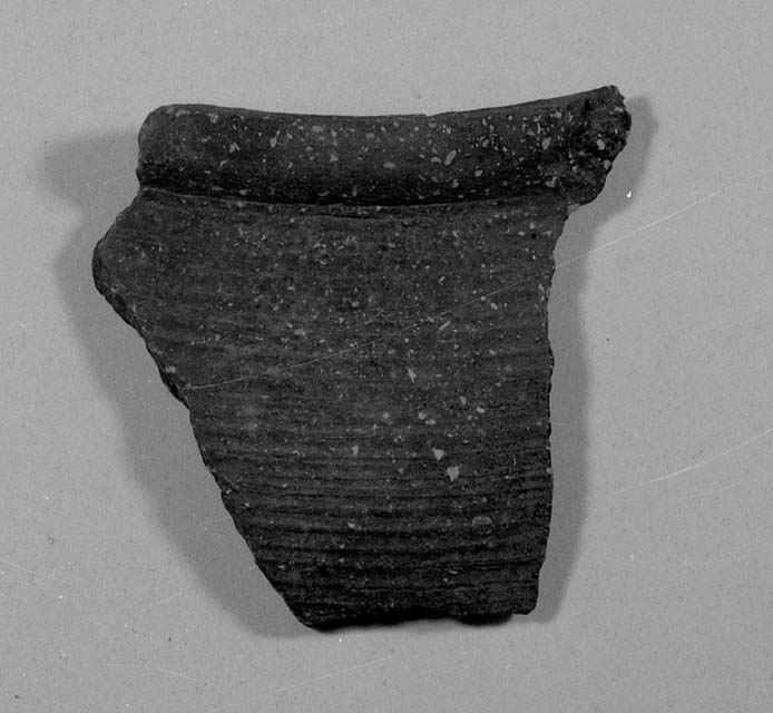 olla/ frammento