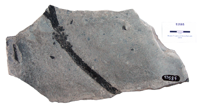 Collezione Binutti