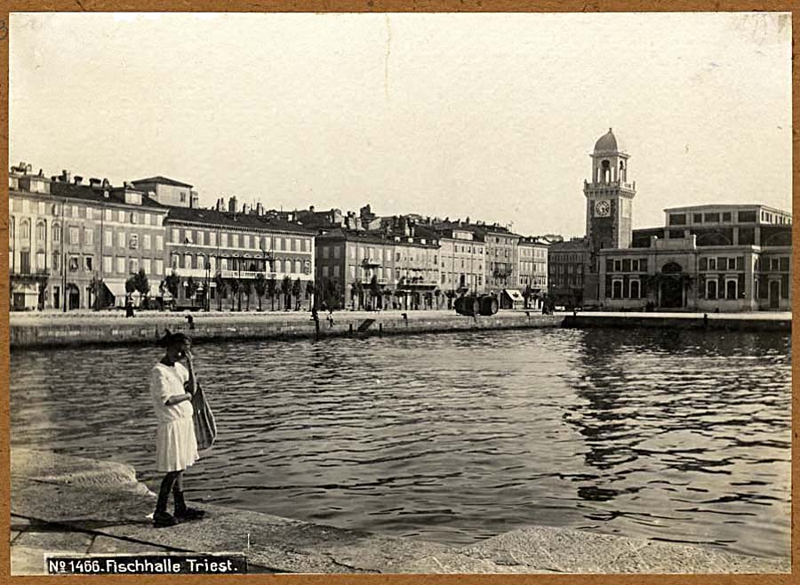 Archivio Fotografico Soprintendenza - Ufficio di Udine