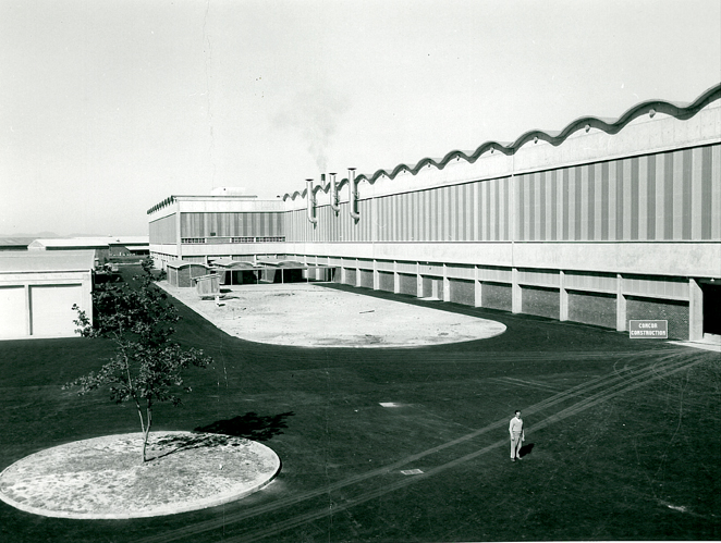 anni 60