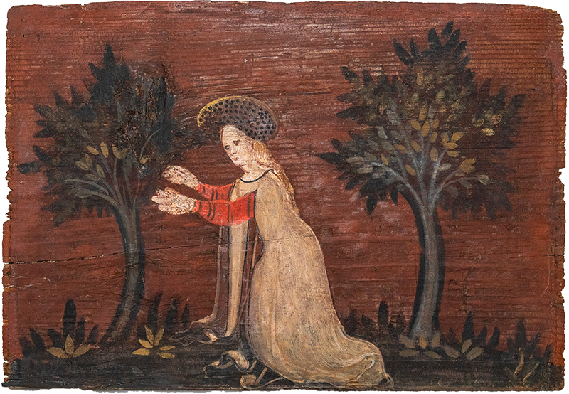 Soffitti a pettenelle