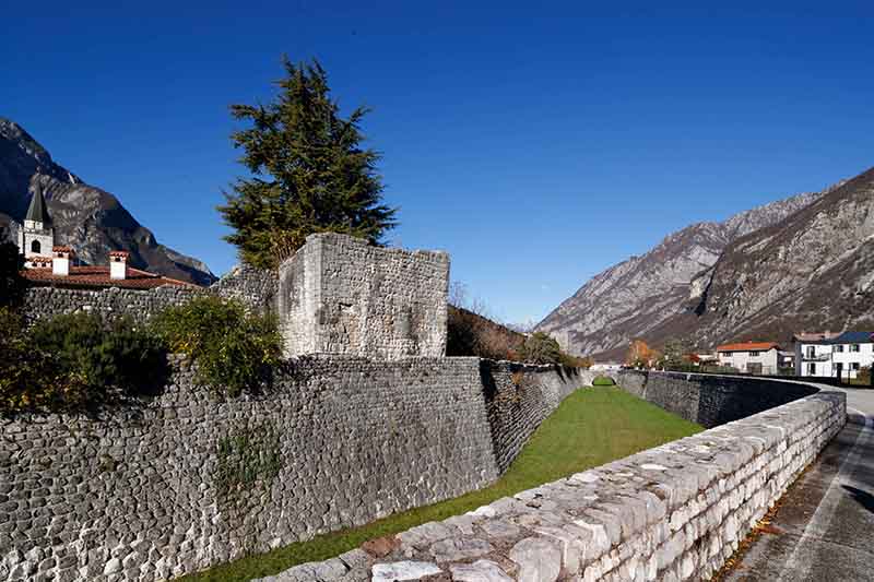 il circuito difensivo